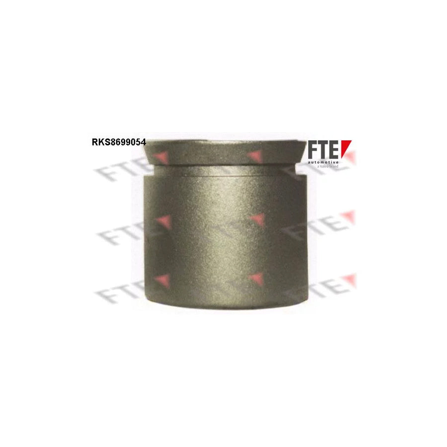 FTE 9313508 Piston, Brake Caliper