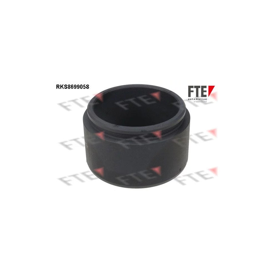 FTE 9313511 Piston, Brake Caliper