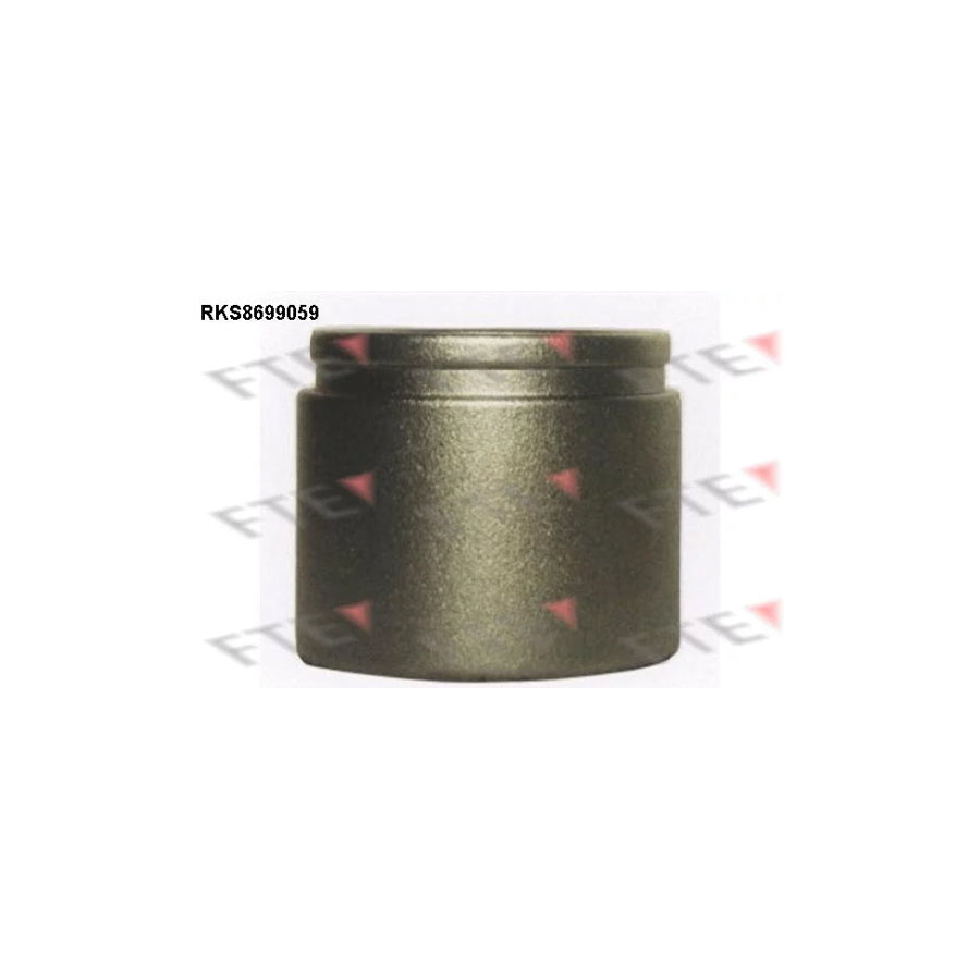 FTE 9313512 Piston, Brake Caliper