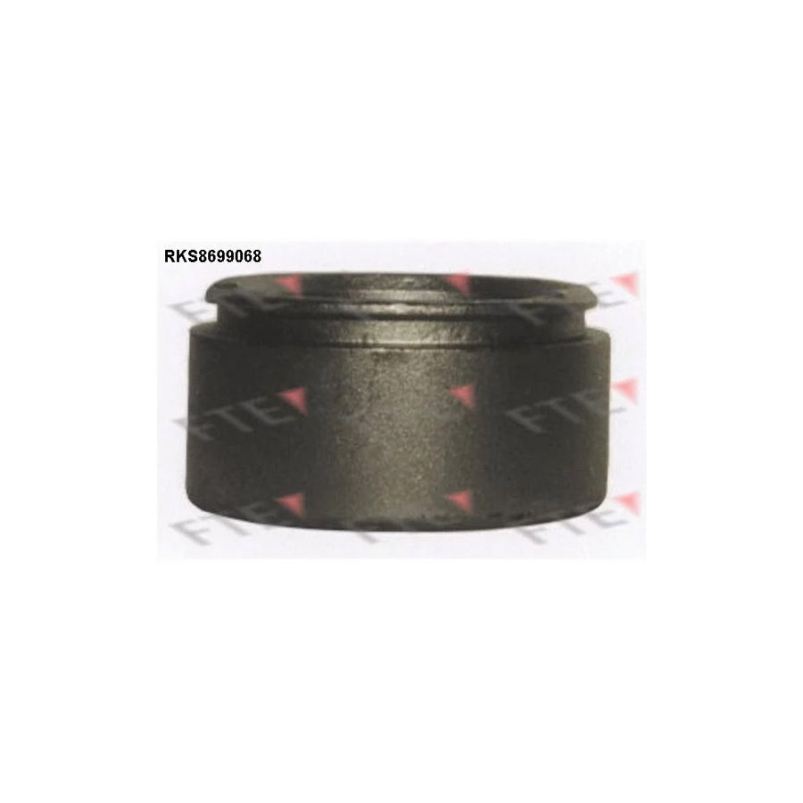 FTE 9313518 Piston, Brake Caliper