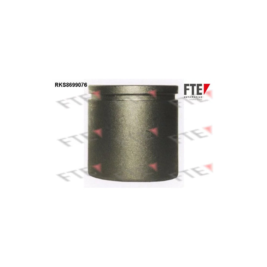 FTE 9313521 Piston, Brake Caliper
