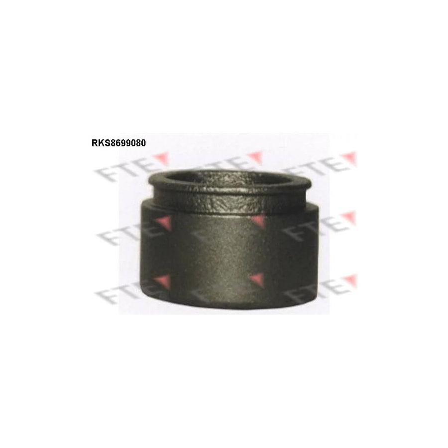 FTE 9313523 Piston, Brake Caliper