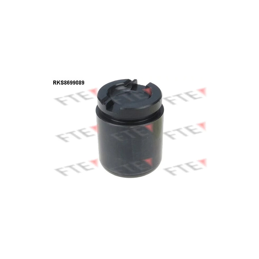 FTE 9313526 Piston, Brake Caliper