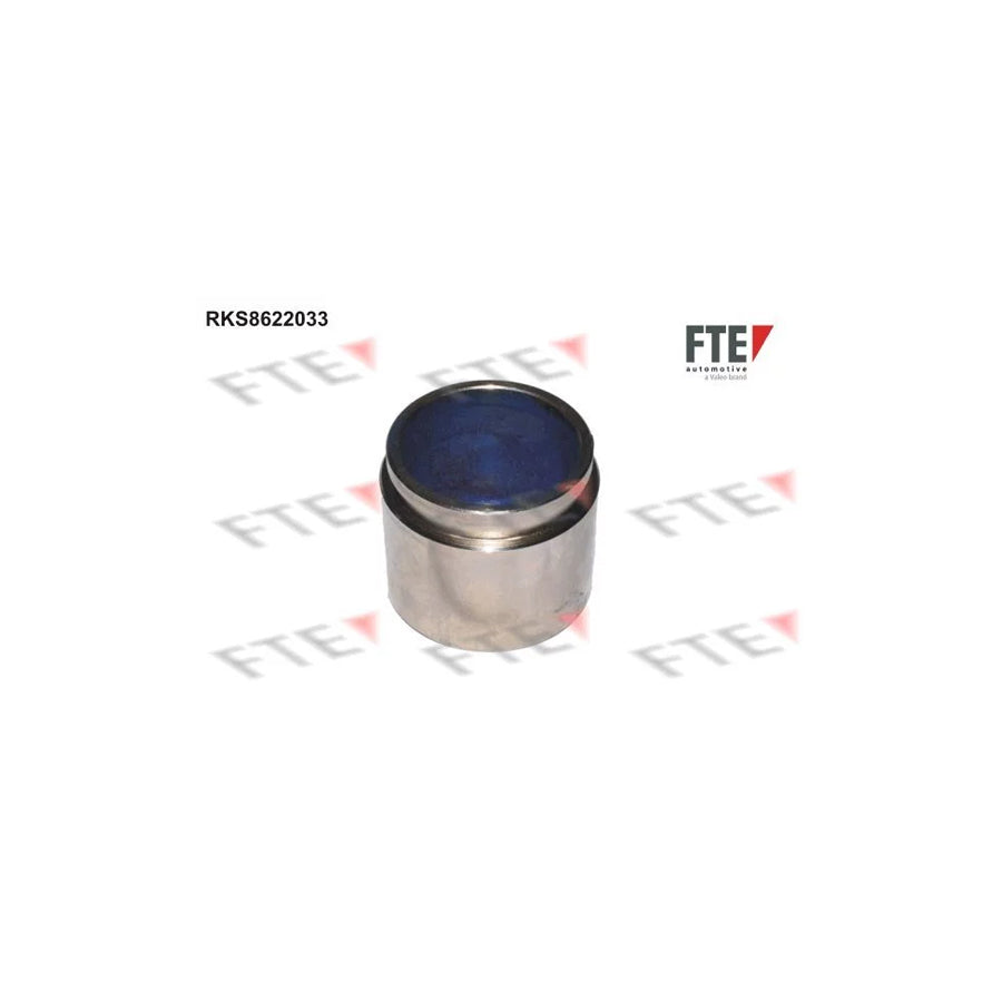 FTE 9314399 Piston, Brake Caliper