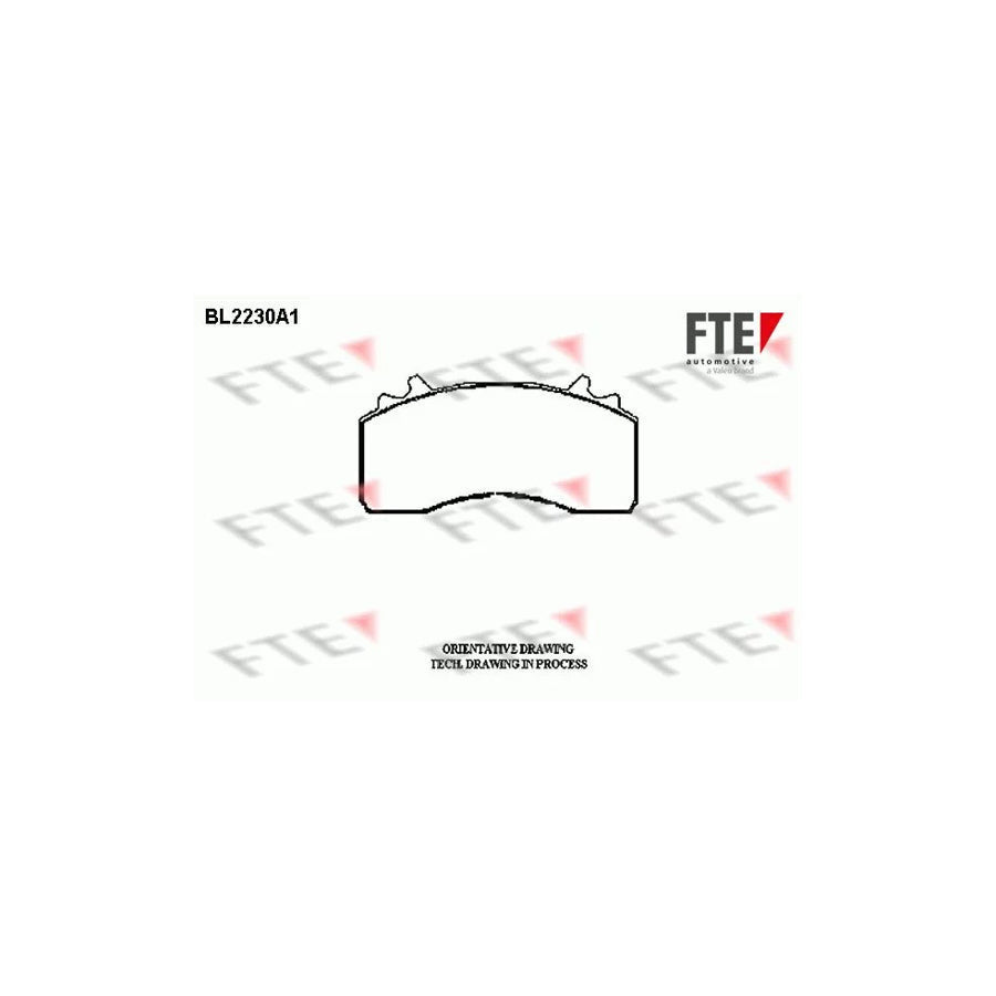 FTE 9500079 Brake Pad Set