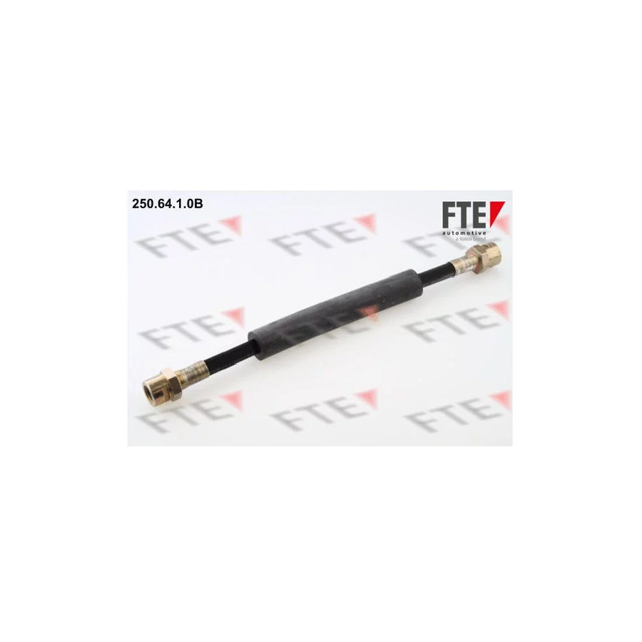 FTE 9741012 Brake Hose