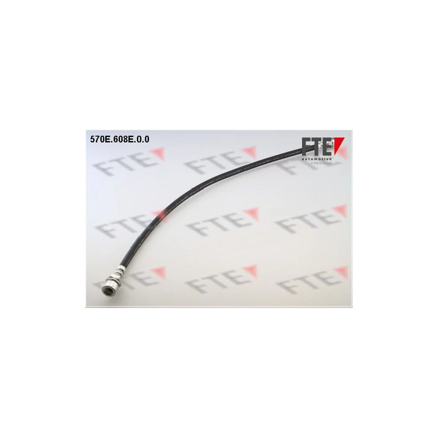 FTE 9741059 Brake Hose