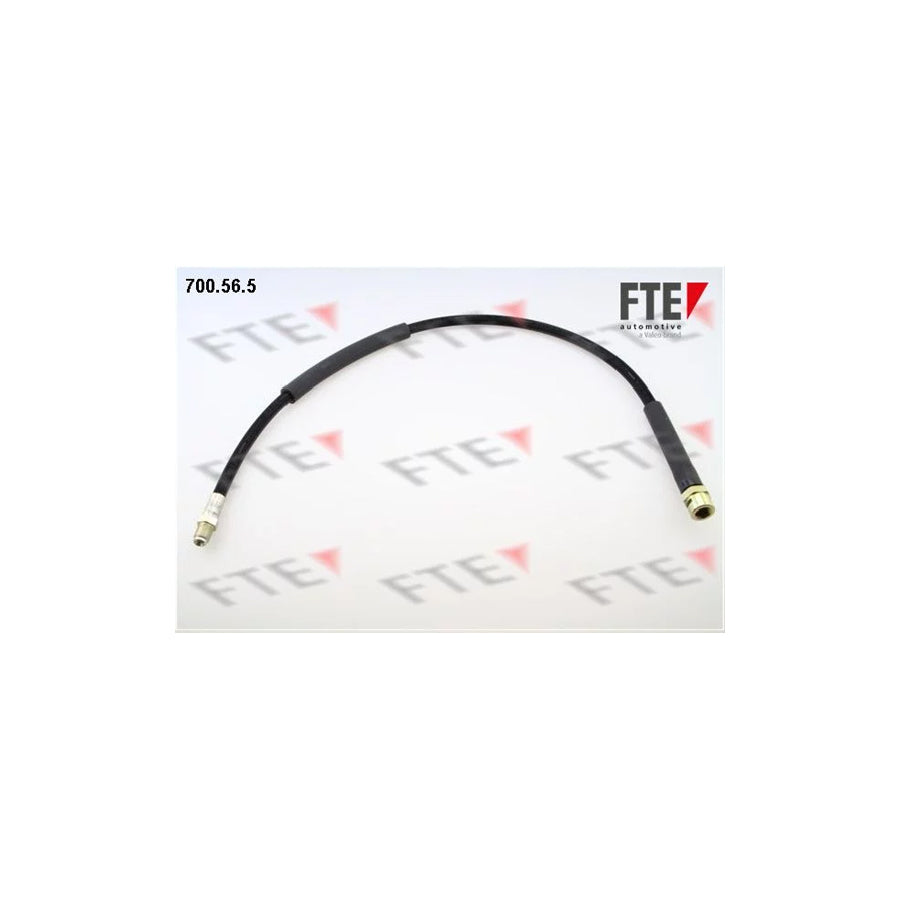 FTE 9741070 Brake Hose