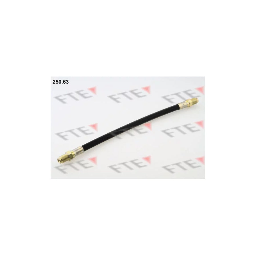 FTE 9741088 Brake Hose