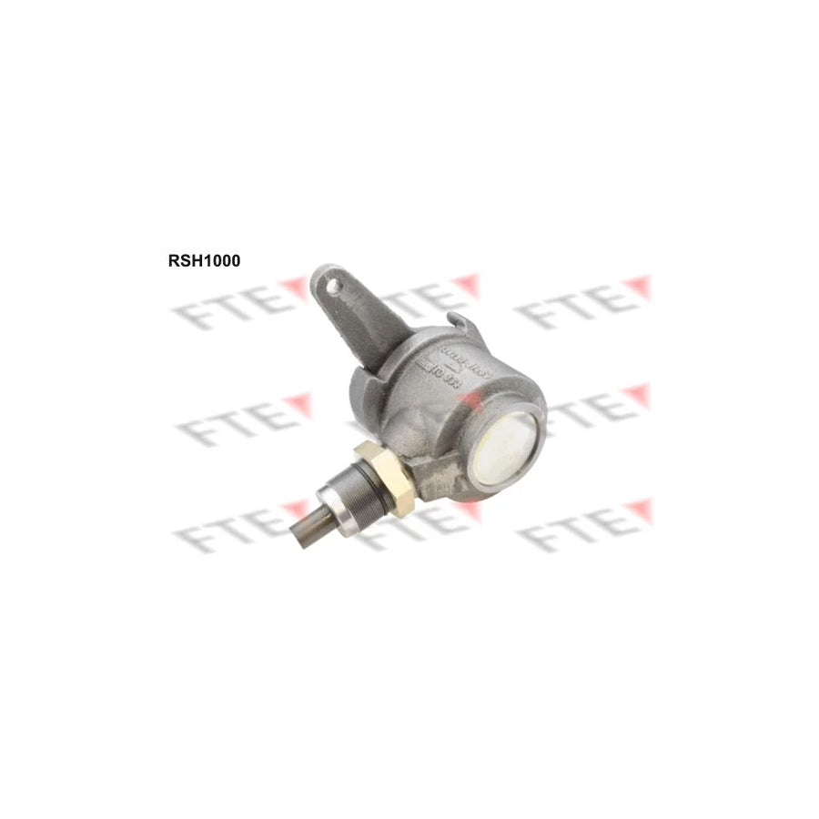FTE 9910770 Lever, Compressed Air Brake System Caliper