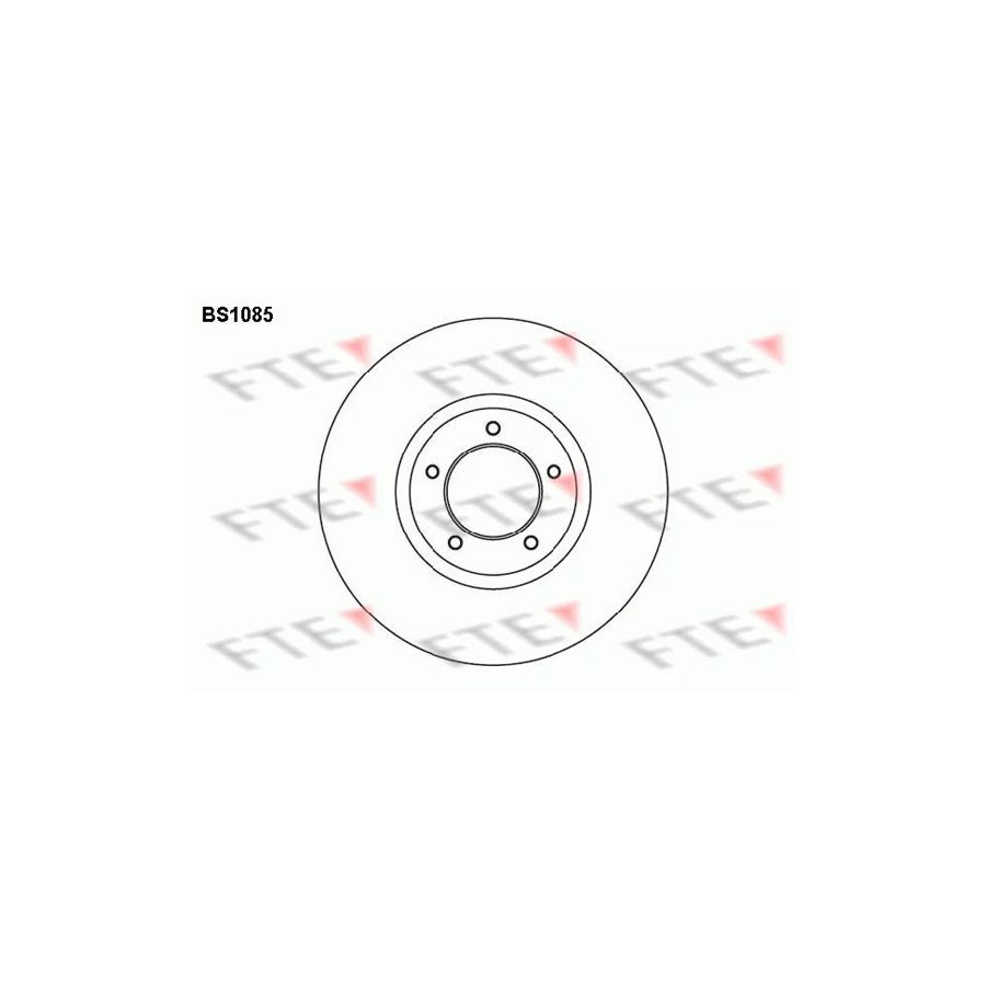FTE Bs1085 Brake Disc
