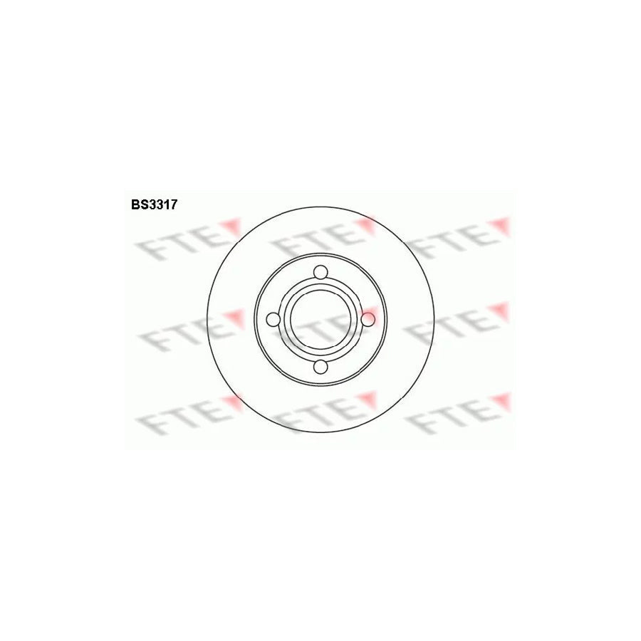 FTE Bs3317 Brake Disc