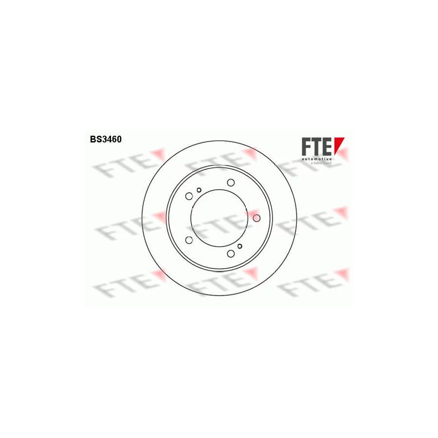 FTE Bs3460 Brake Disc