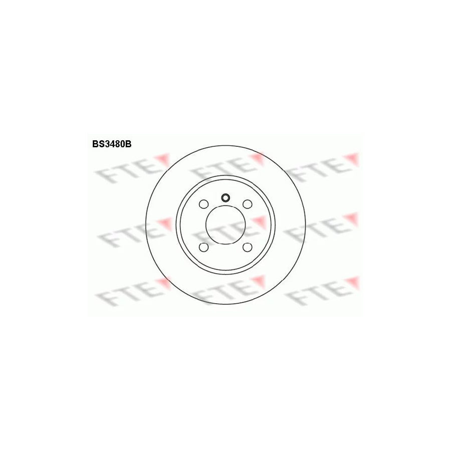 FTE Bs3480B Brake Disc