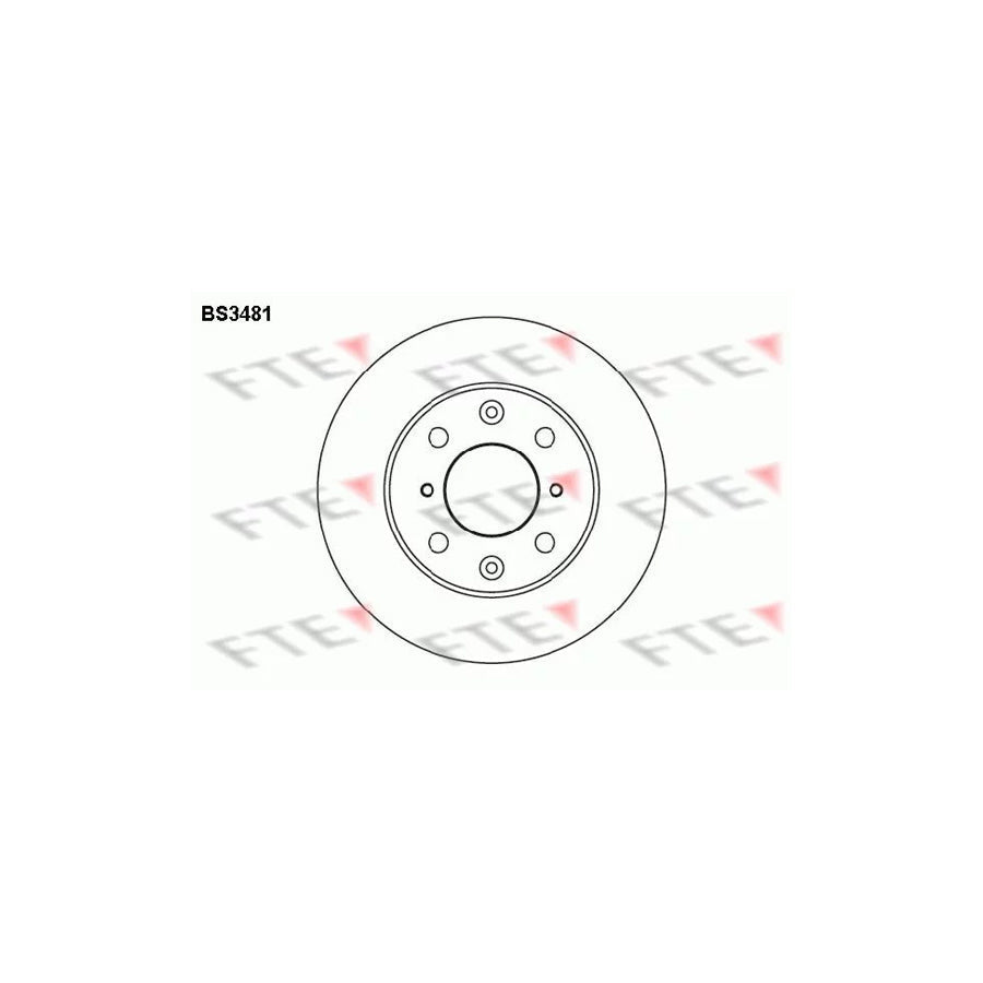 FTE Bs3481 Brake Disc