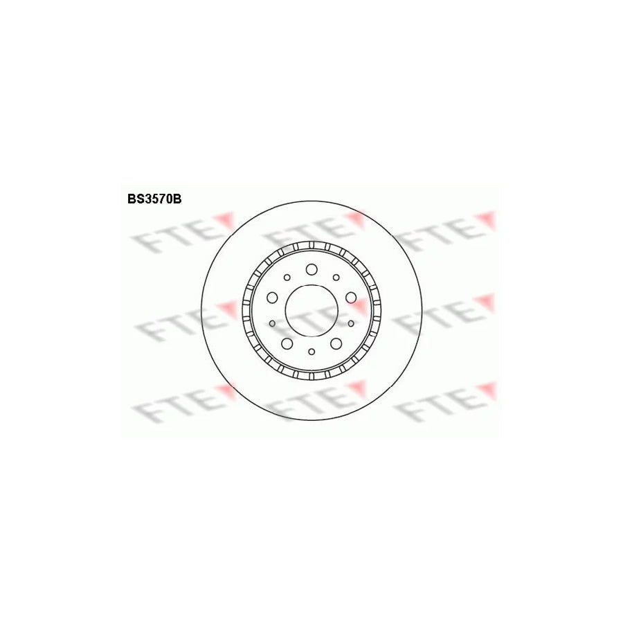 FTE Bs3570B Brake Disc