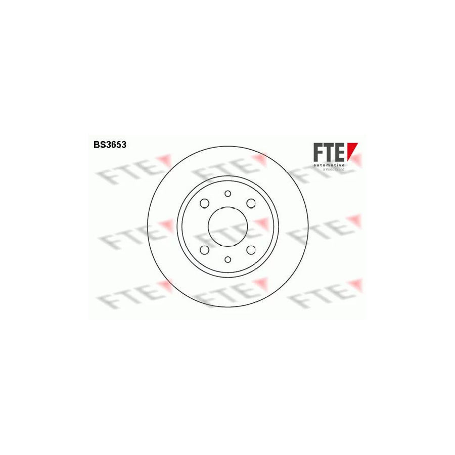 FTE Bs3653 Brake Disc
