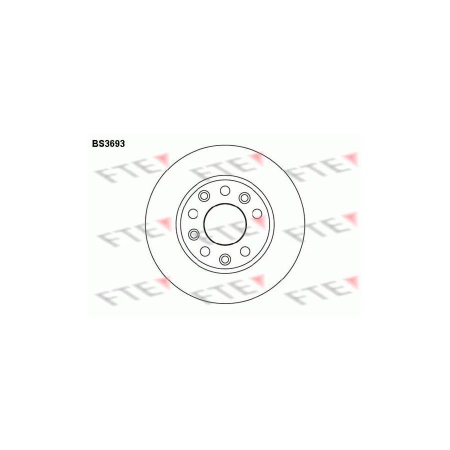 FTE Bs3693 Brake Disc