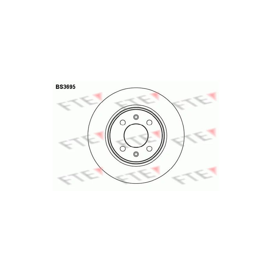 FTE Bs3695 Brake Disc
