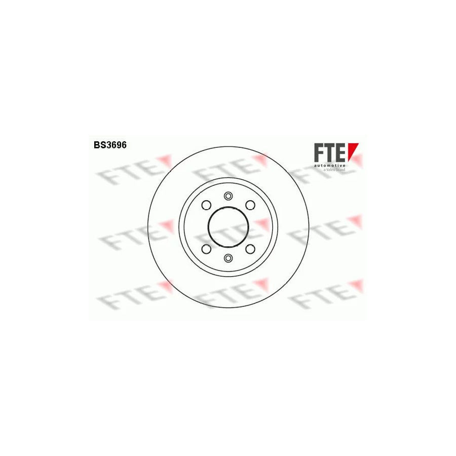 FTE Bs3696 Brake Disc