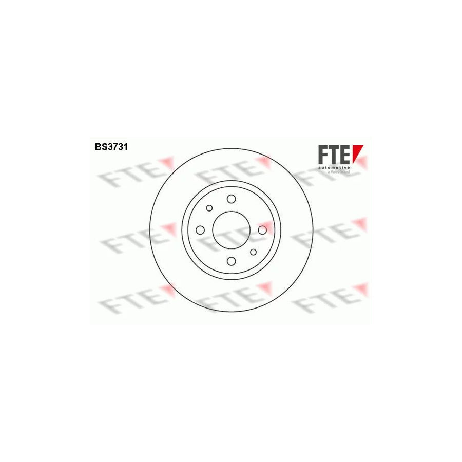FTE Bs3731 Brake Disc