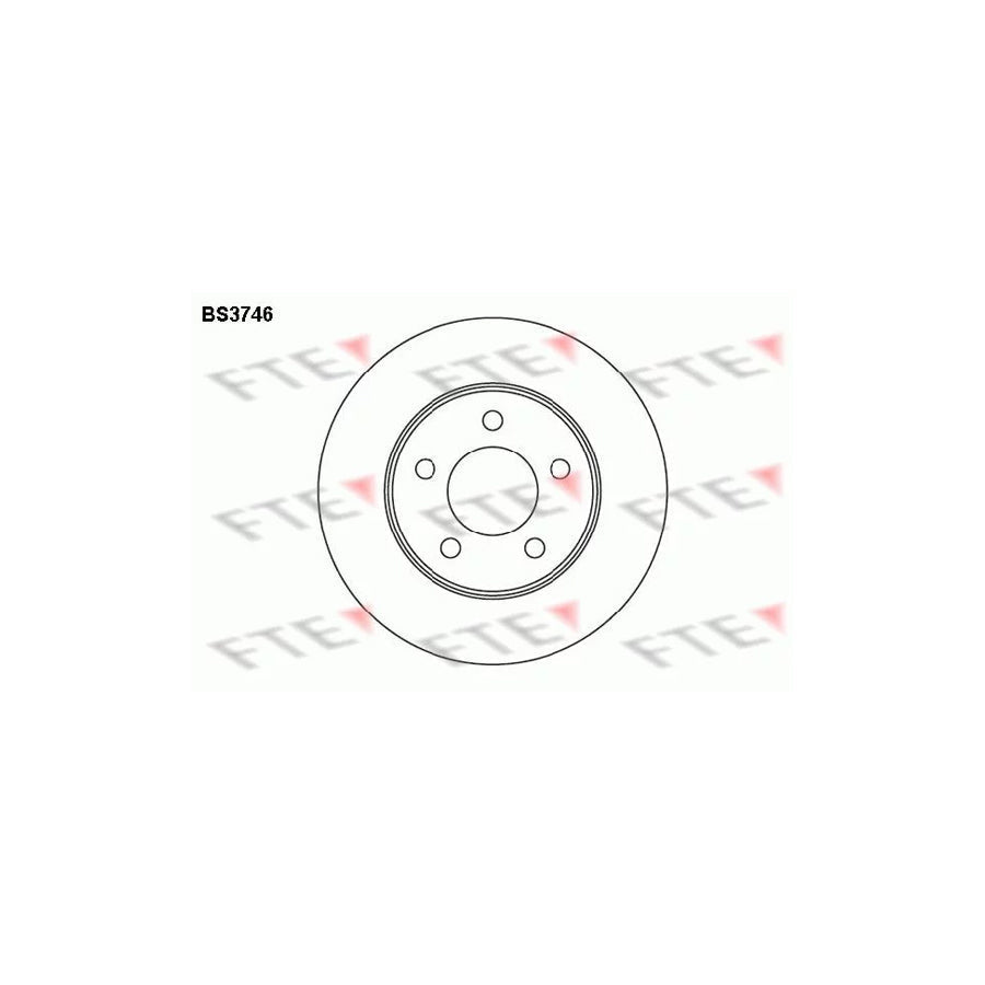 FTE Bs3746 Brake Disc