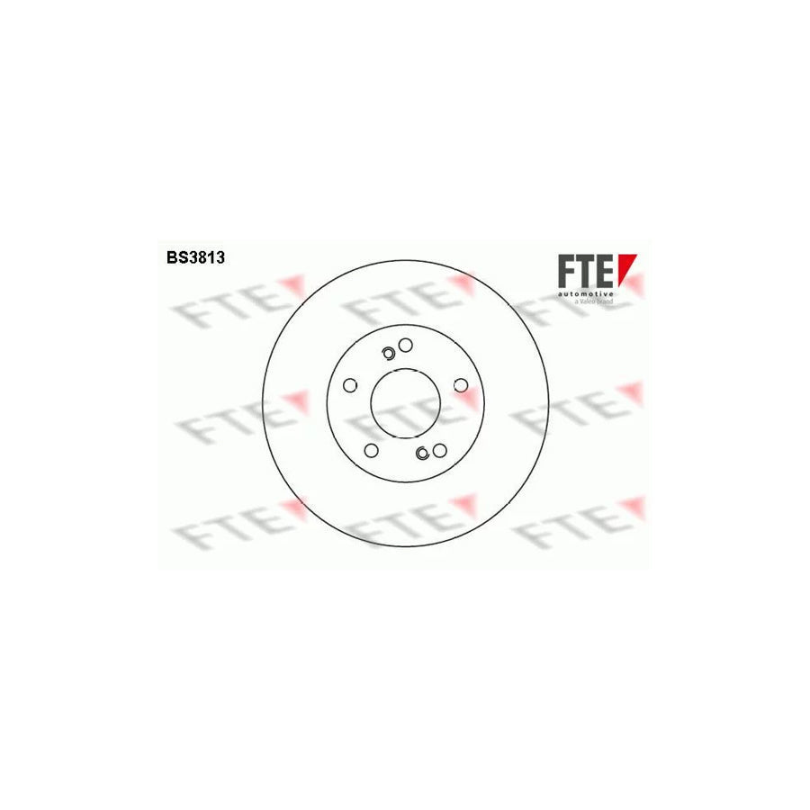 FTE Bs3813 Brake Disc