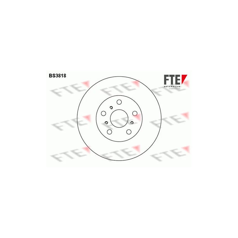 FTE Bs3818 Brake Disc