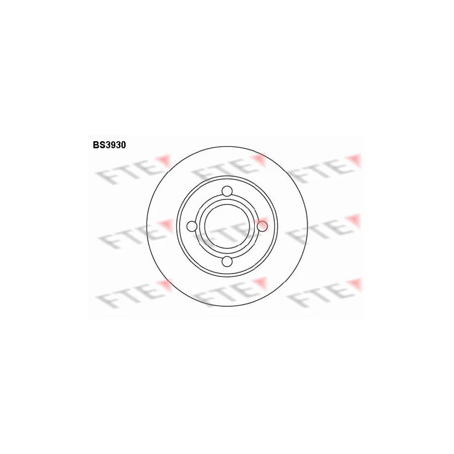 FTE Bs3930 Brake Disc for Audi 100