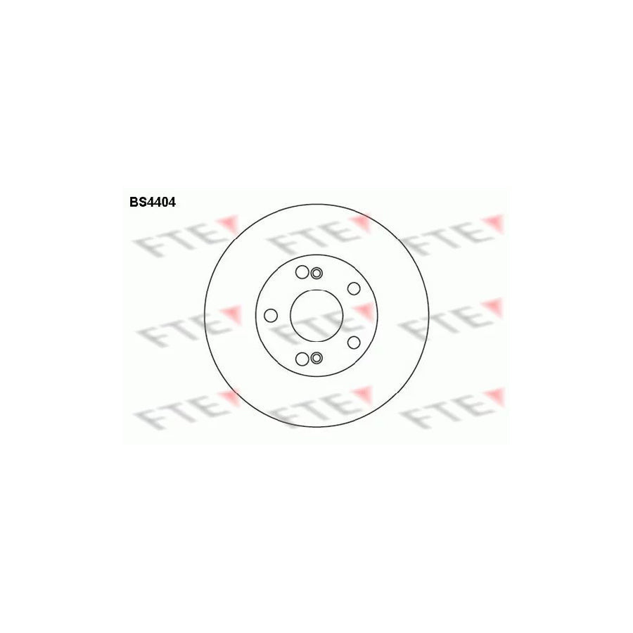 FTE Bs4404 Brake Disc