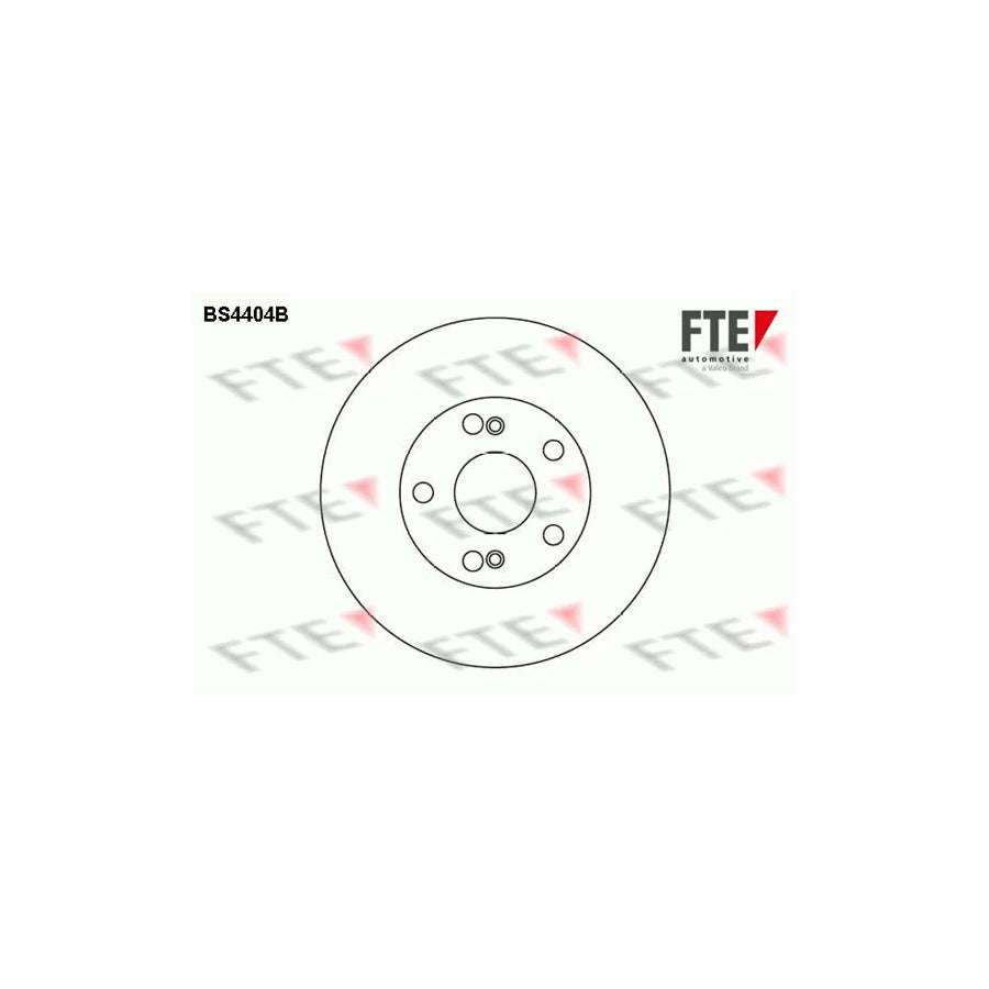FTE Bs4404B Brake Disc
