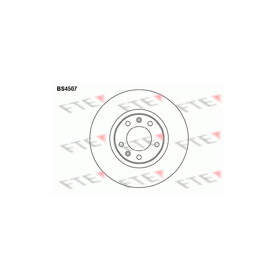 FTE Bs4507 Brake Disc