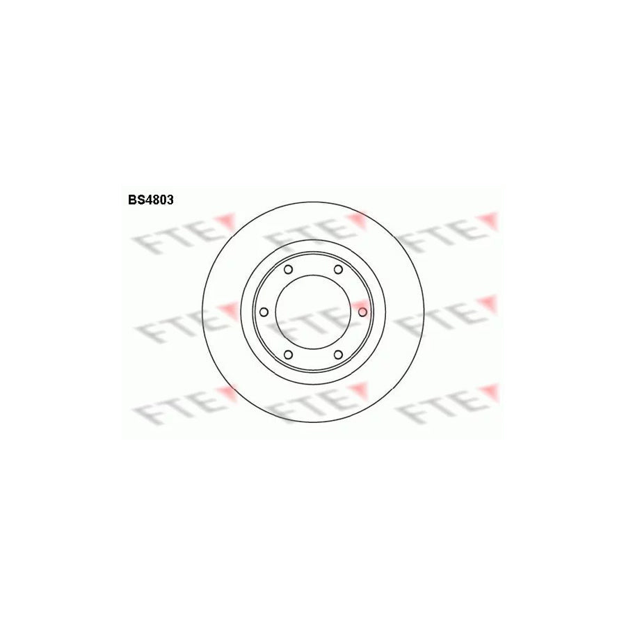 FTE Bs4803 Brake Disc for Toyota Land Cruiser 80 (J80)