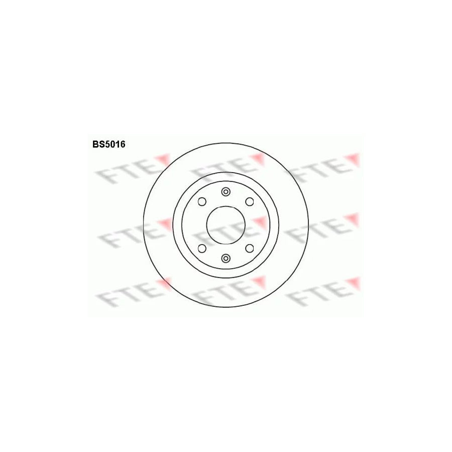 FTE Bs5016 Brake Disc