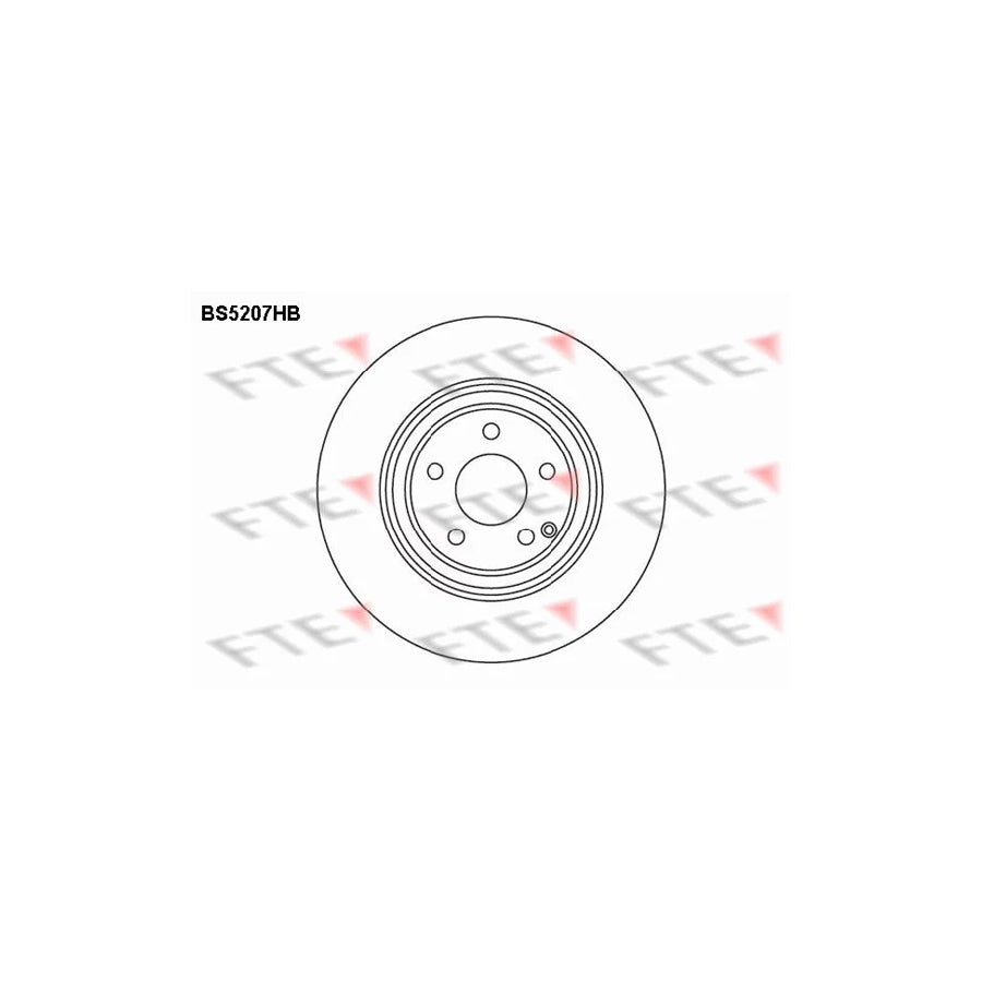 FTE Bs5207Hb Brake Disc Suitable for Mercedes-Benz S-Class