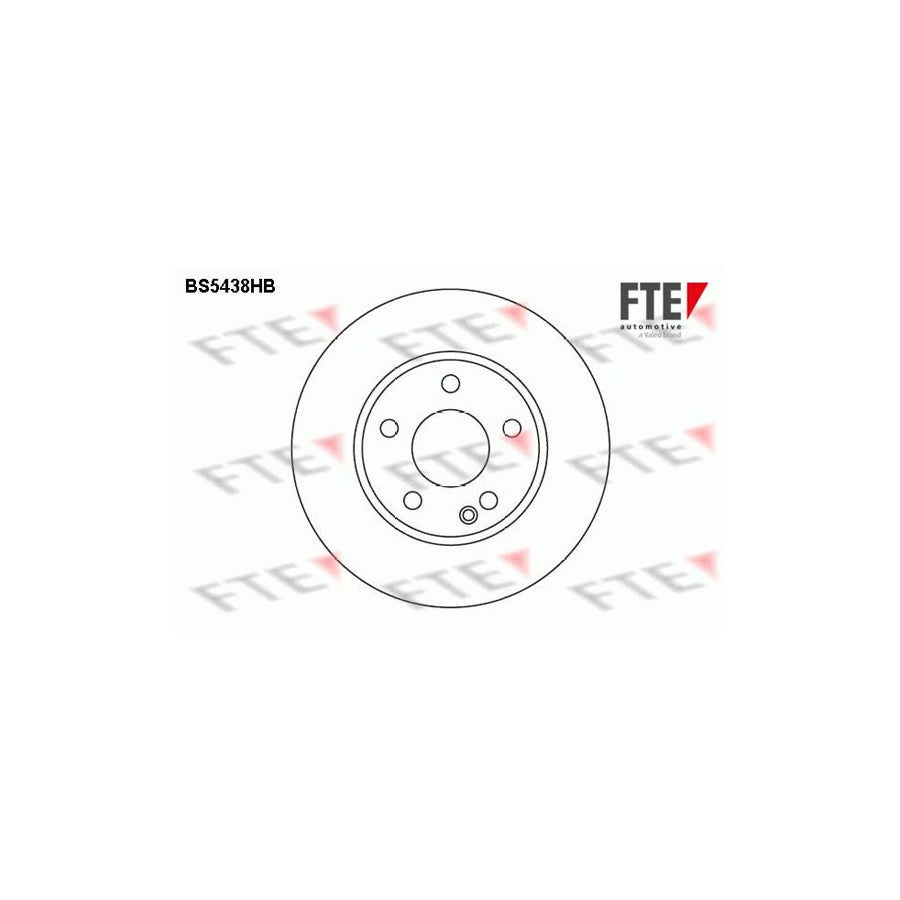 FTE Bs5438Hb Brake Disc Suitable for Mercedes-Benz A-Class (W169)