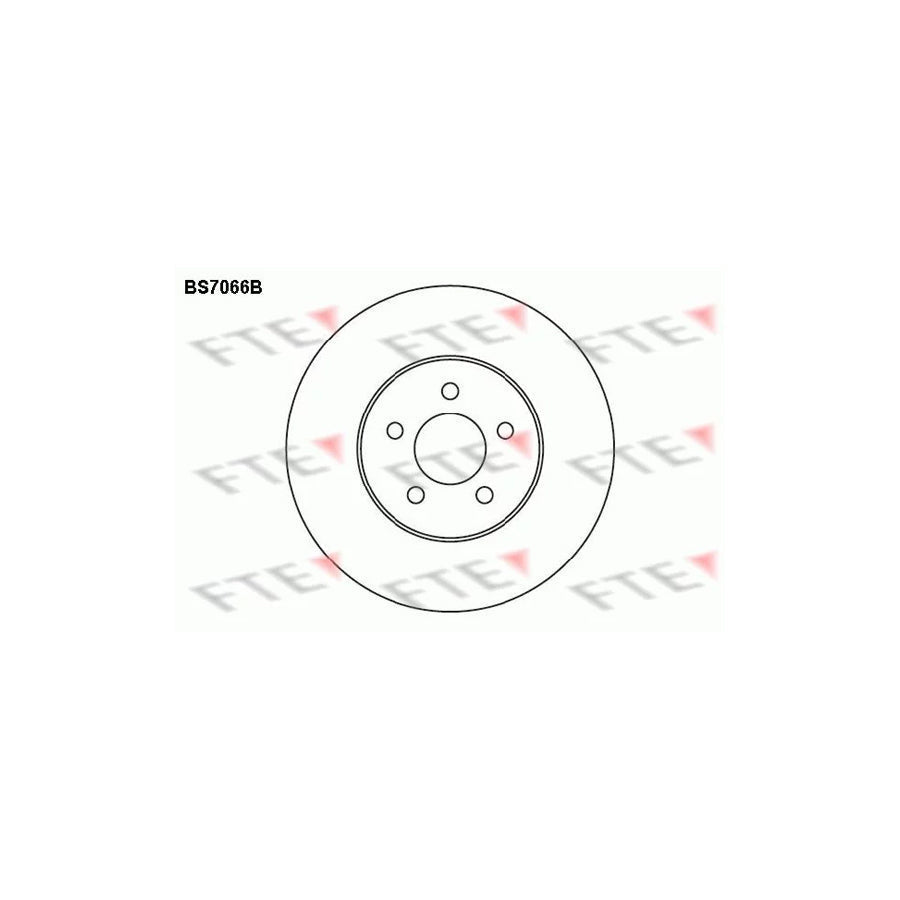FTE Bs7066B Brake Disc