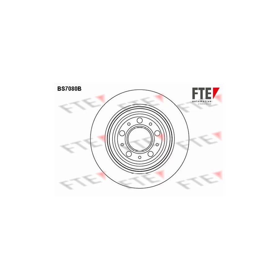FTE Bs7080B Brake Disc