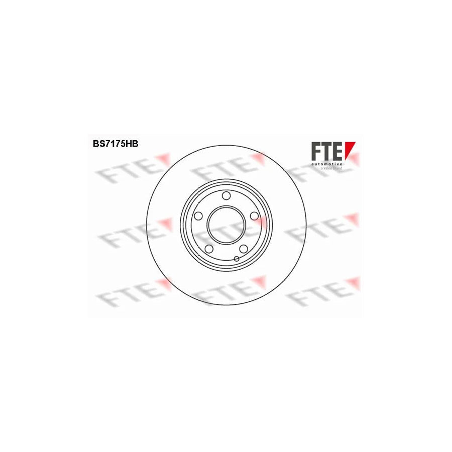FTE Bs7175Hb Brake Disc Suitable for Mercedes-Benz E-Class