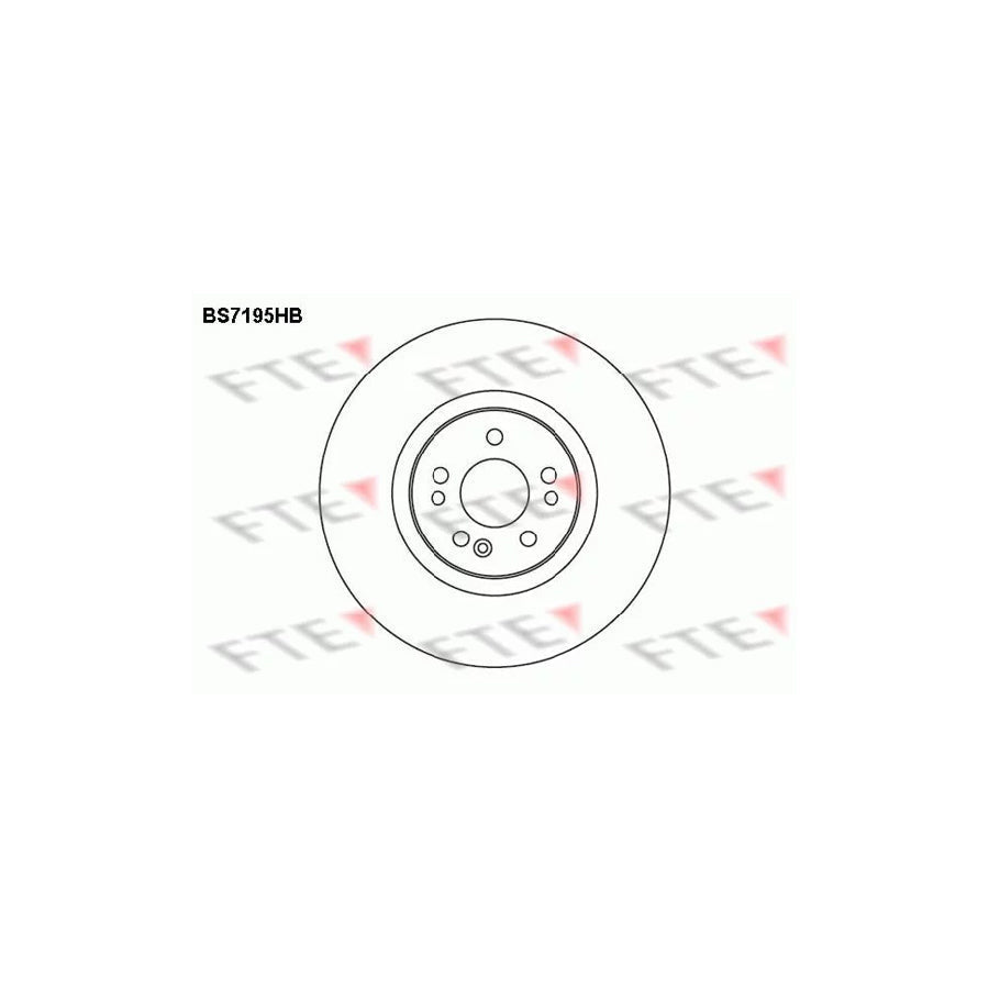 FTE Bs7195Hb Brake Disc Suitable for Mercedes-Benz ML-Class (W163)