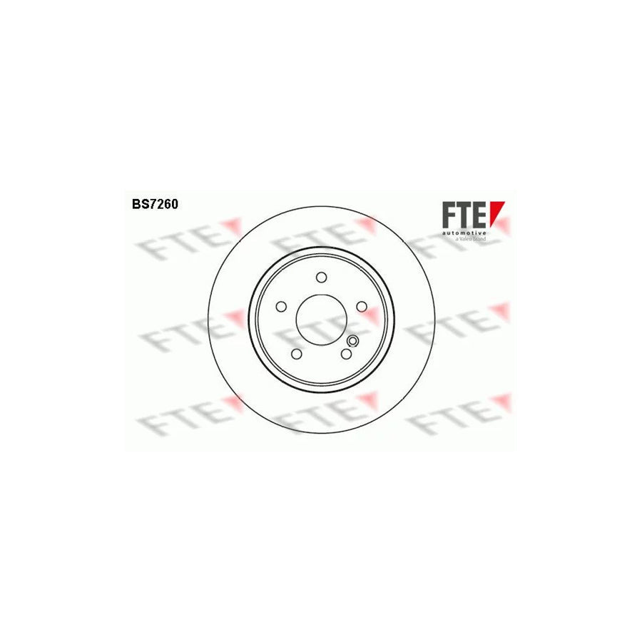FTE Bs7260 Brake Disc