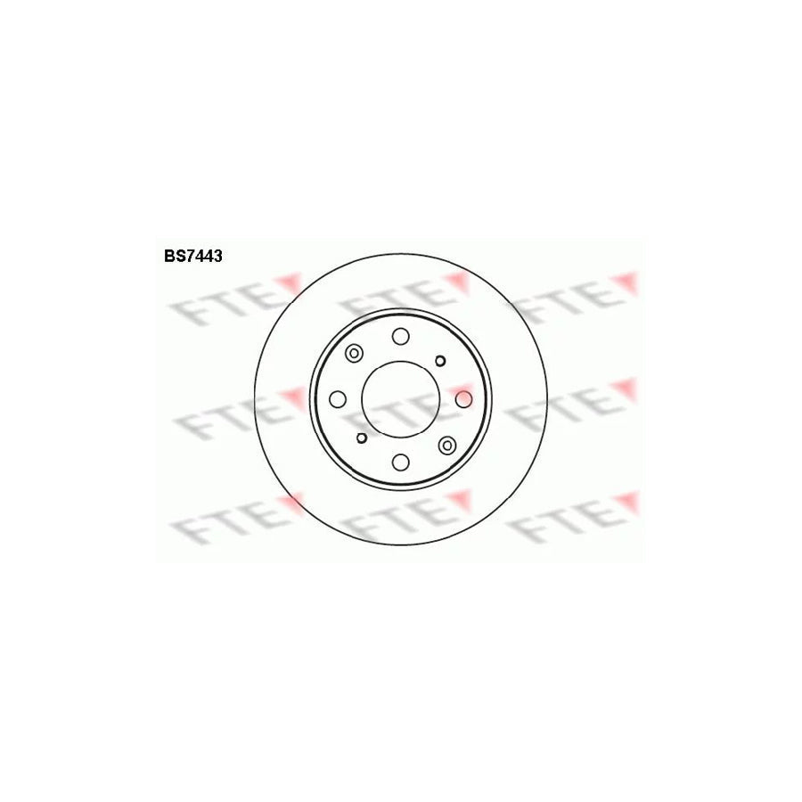 FTE Bs7443 Brake Disc