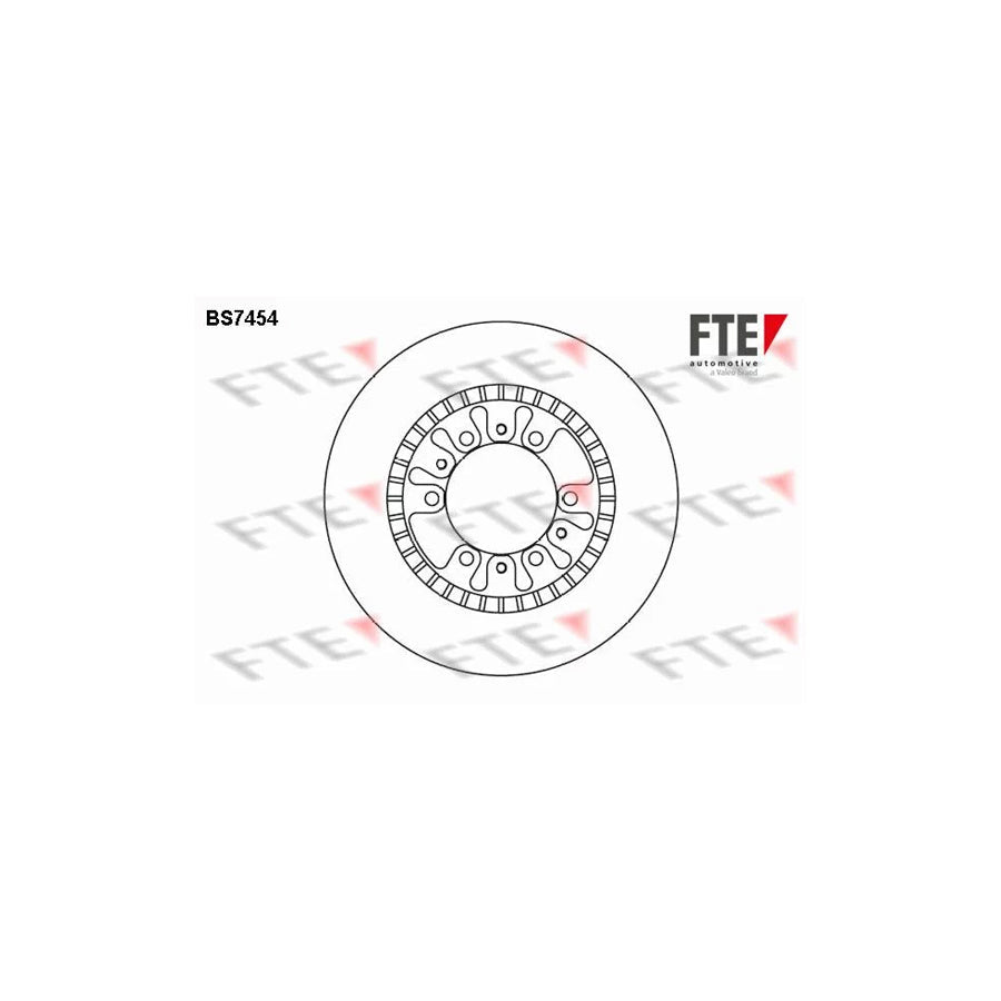 FTE Bs7454 Brake Disc for Mitsubishi Pajero / Shogun
