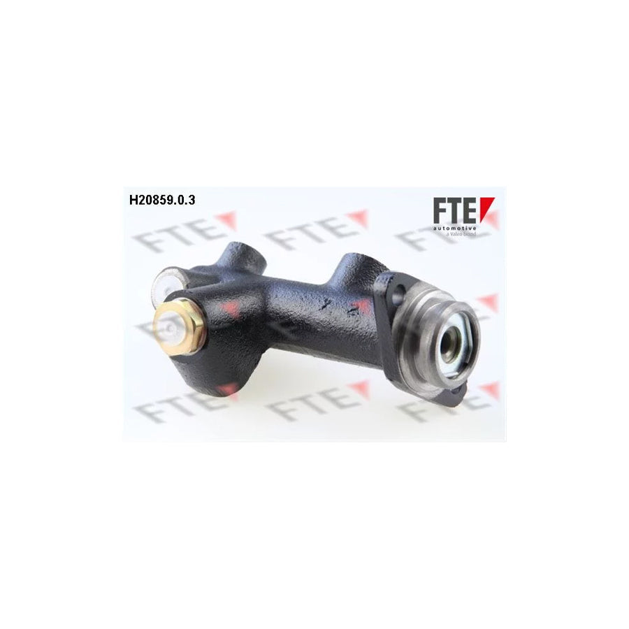 FTE H20859.0.3 Brake Master Cylinder