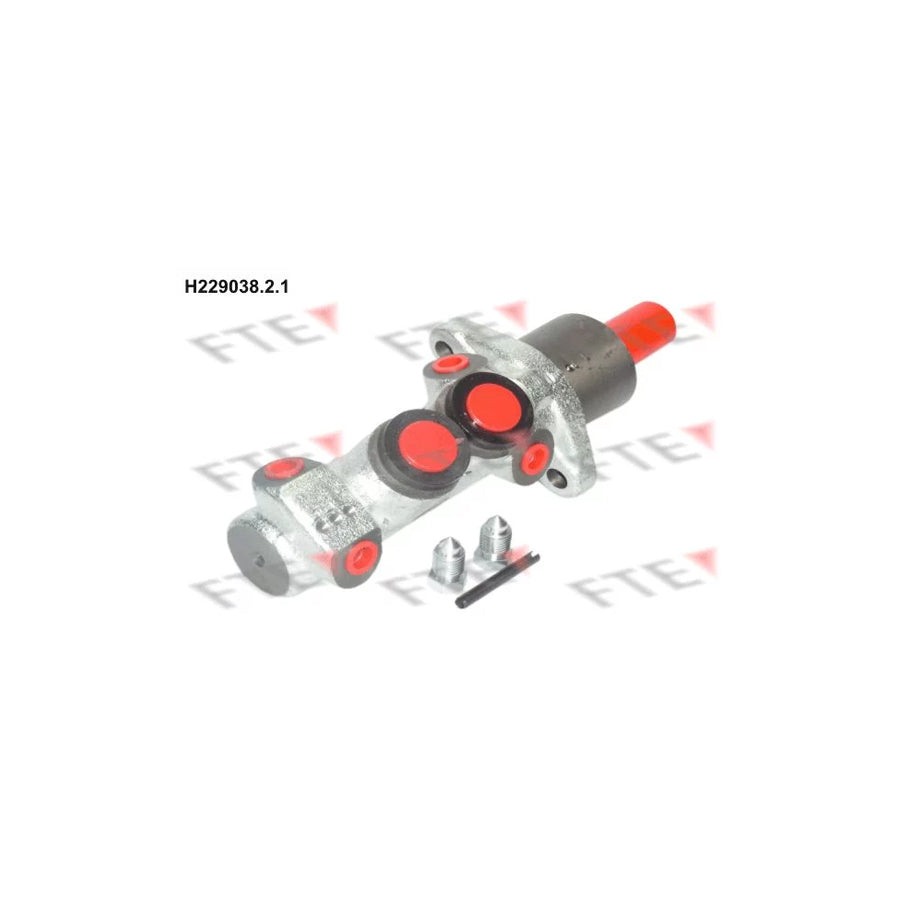 FTE H229038.2.1 Brake Master Cylinder for Citroã N Zx Estate (N2)