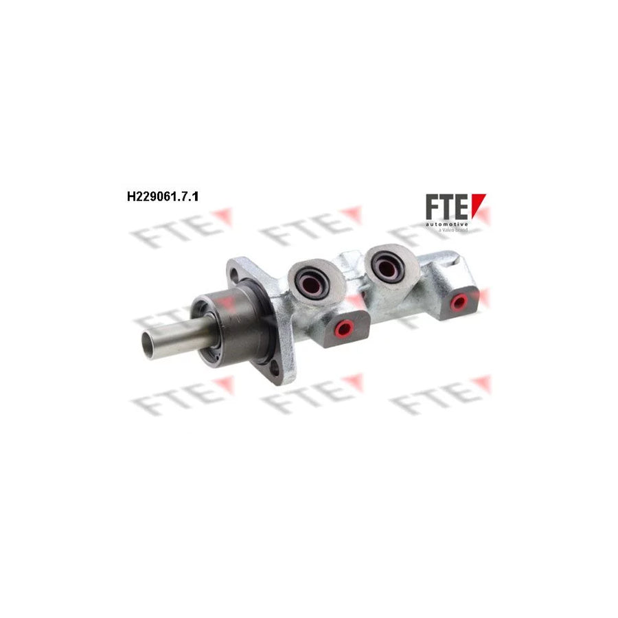 FTE H229061.7.1 Brake Master Cylinder