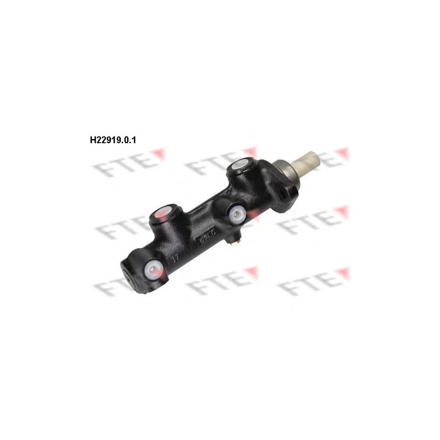 FTE H22919.0.1 Brake Master Cylinder