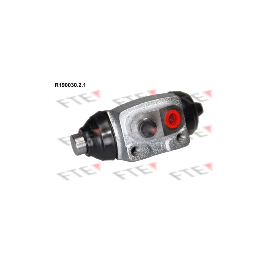 FTE R190030.2.1 Wheel Brake Cylinder