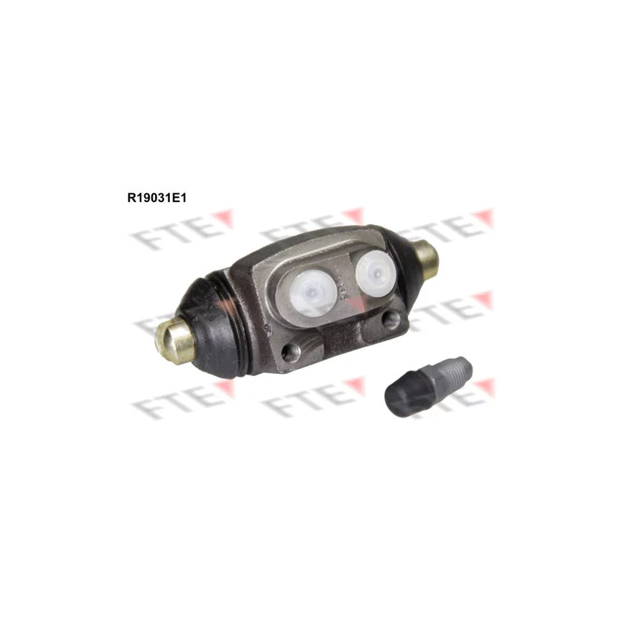 FTE R19031E1 Wheel Brake Cylinder