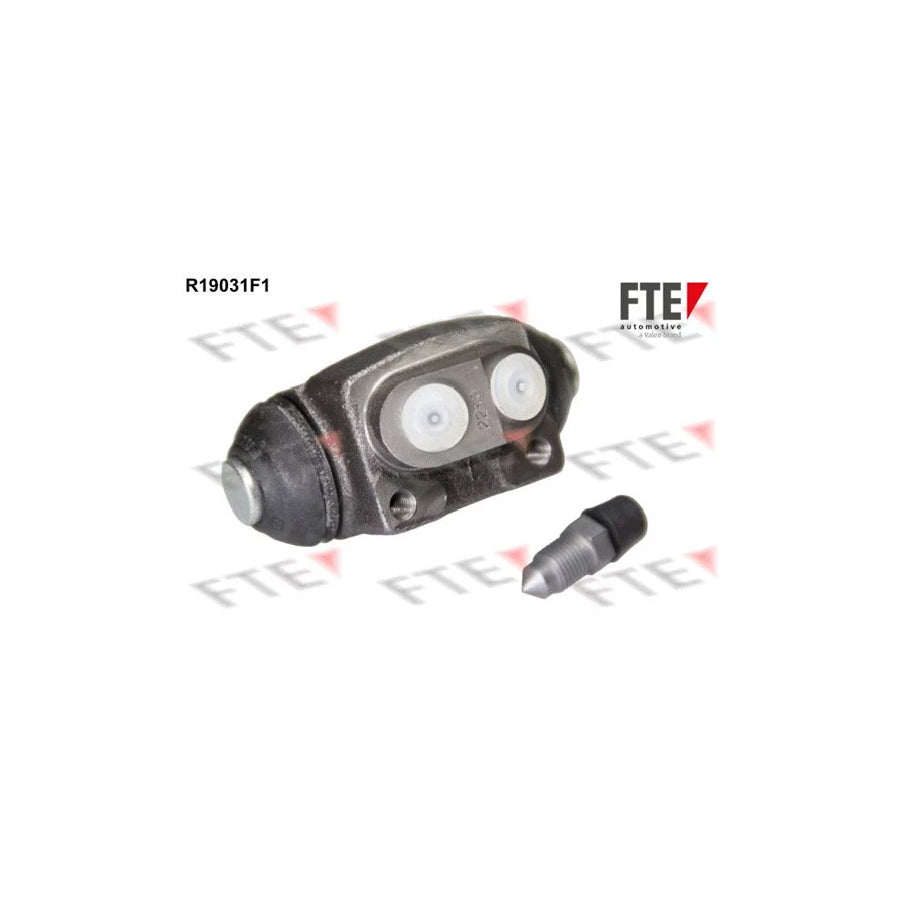 FTE R19031F1 Wheel Brake Cylinder